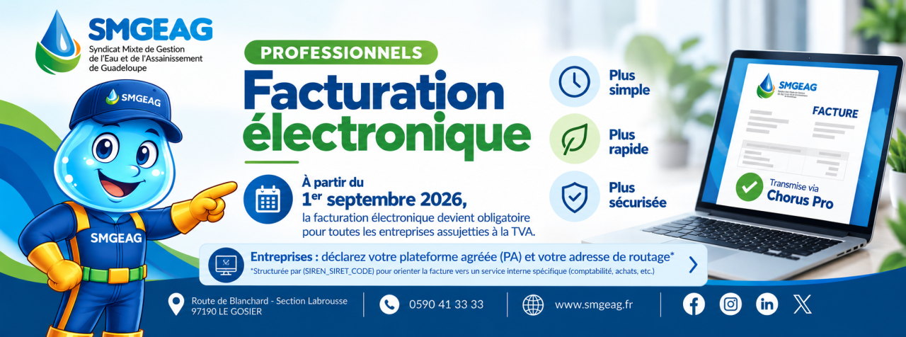 Professionnels : Facturation électronique